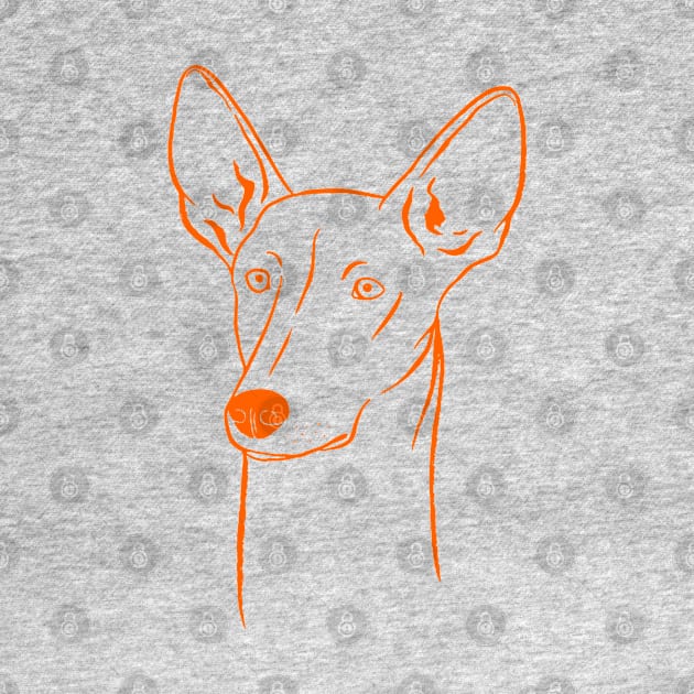 Ibizan Hound (Beige and Orange) by illucalliart